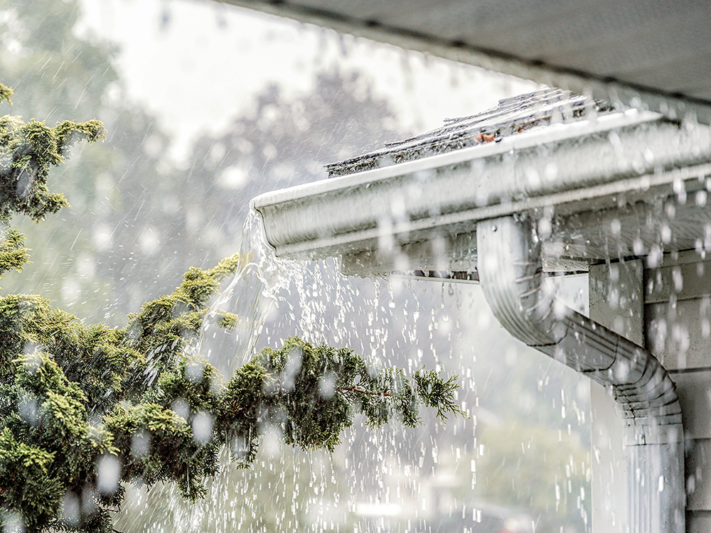 Regenwasser, das die Dachrinne runterläuft. Daneben sind Äste eines Baumes zu sehen.