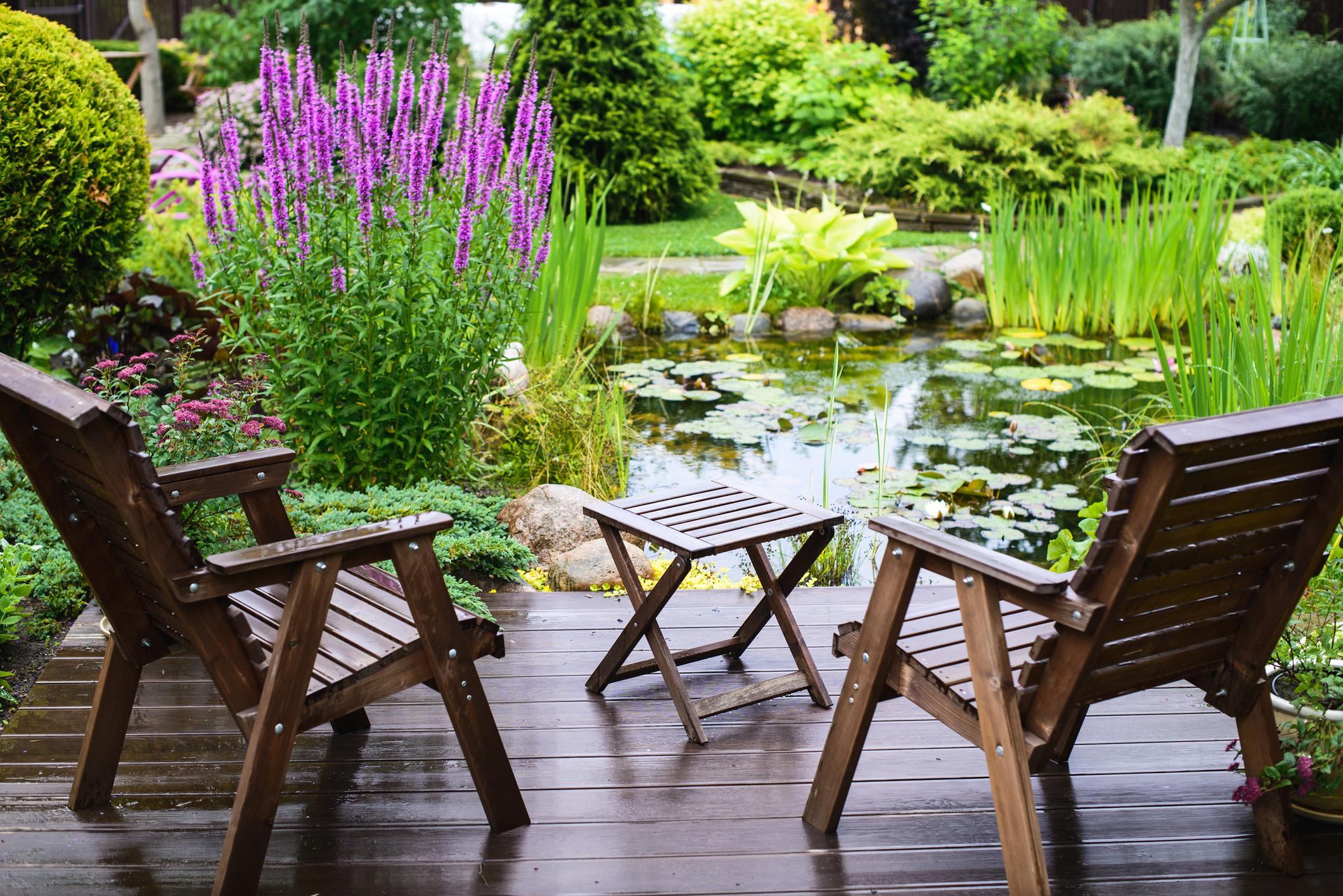 Un étang ou un biotope offre une qualité de vie et favorise la biodiversité dans le jardin.