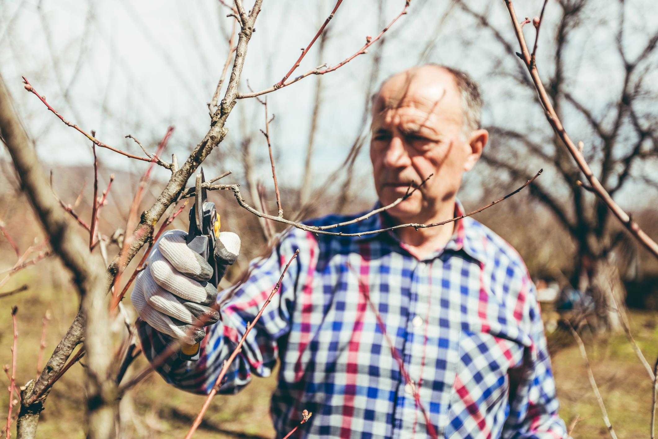 Monatliche Gartenarbeiten