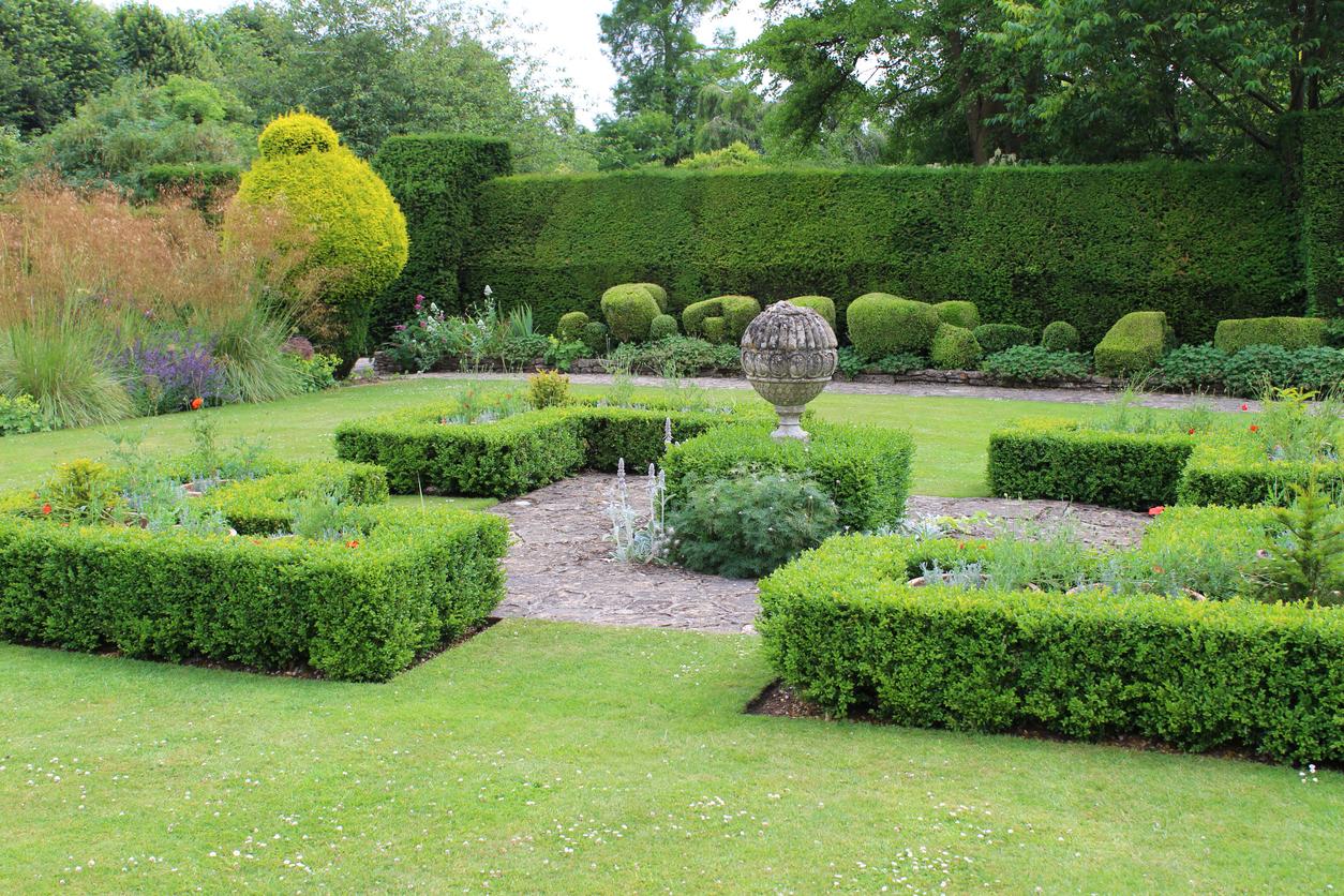  Hecken bieten viele Gestaltungsmöglichkeiten im Garten und sind ein idealer Sichtschutz.