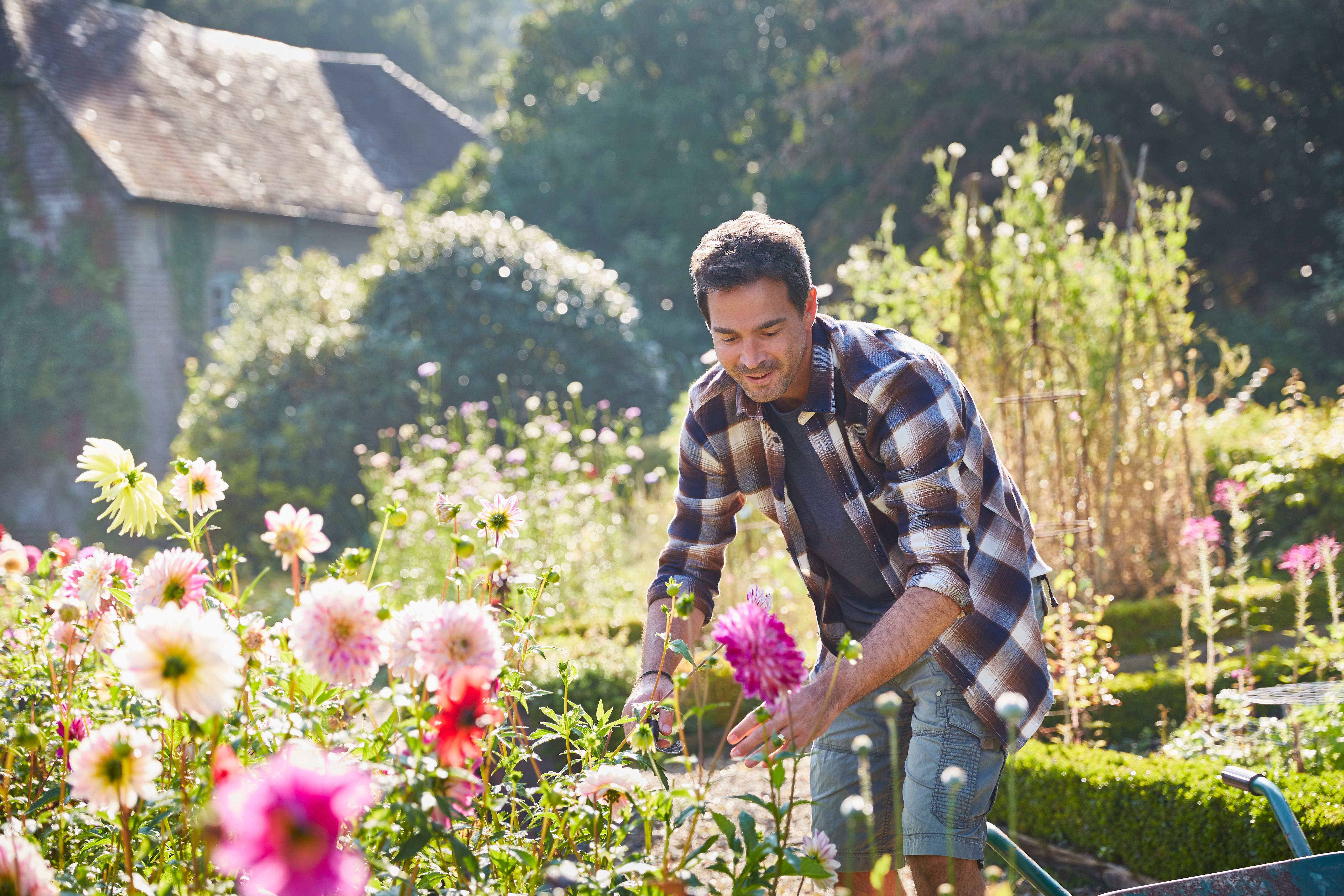 Gartenarbeit Stundenlohn 2023