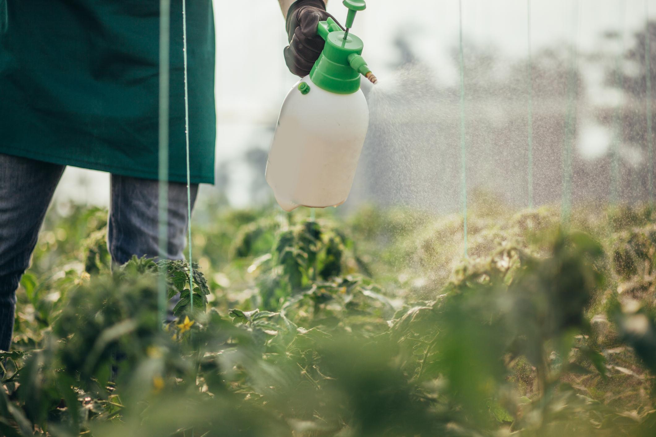 Einsatz von Pestiziden im Garten