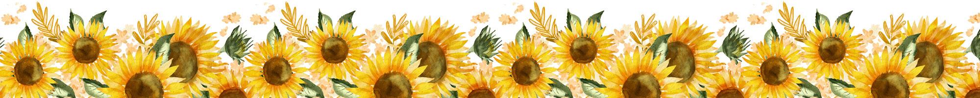 Sommer Sonnenblumen