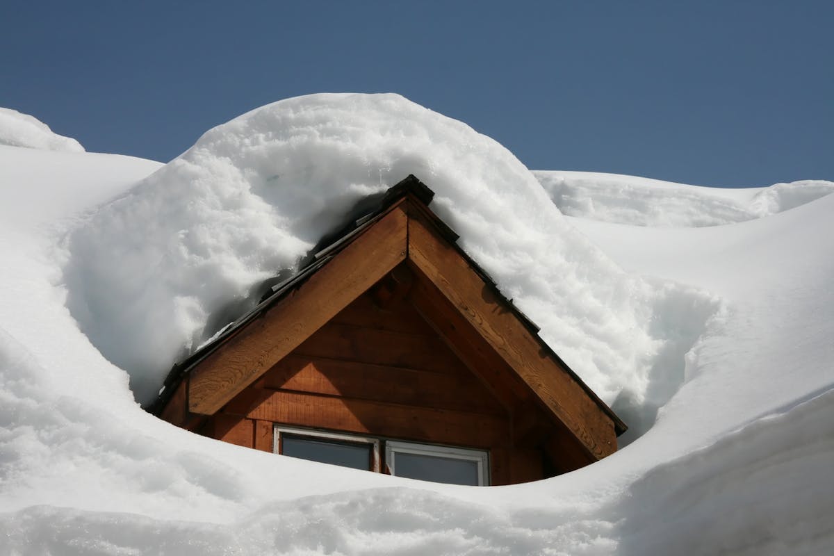 Schnee entfernen auf Wegen, Dächern und Pflanzen