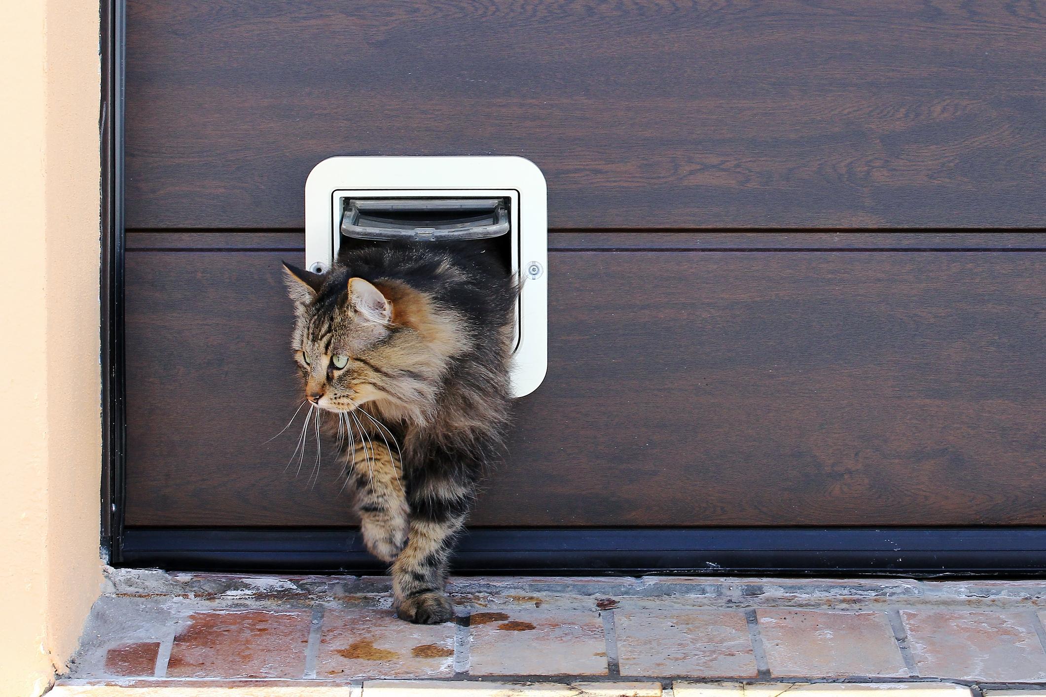 DIY Katzenklappe