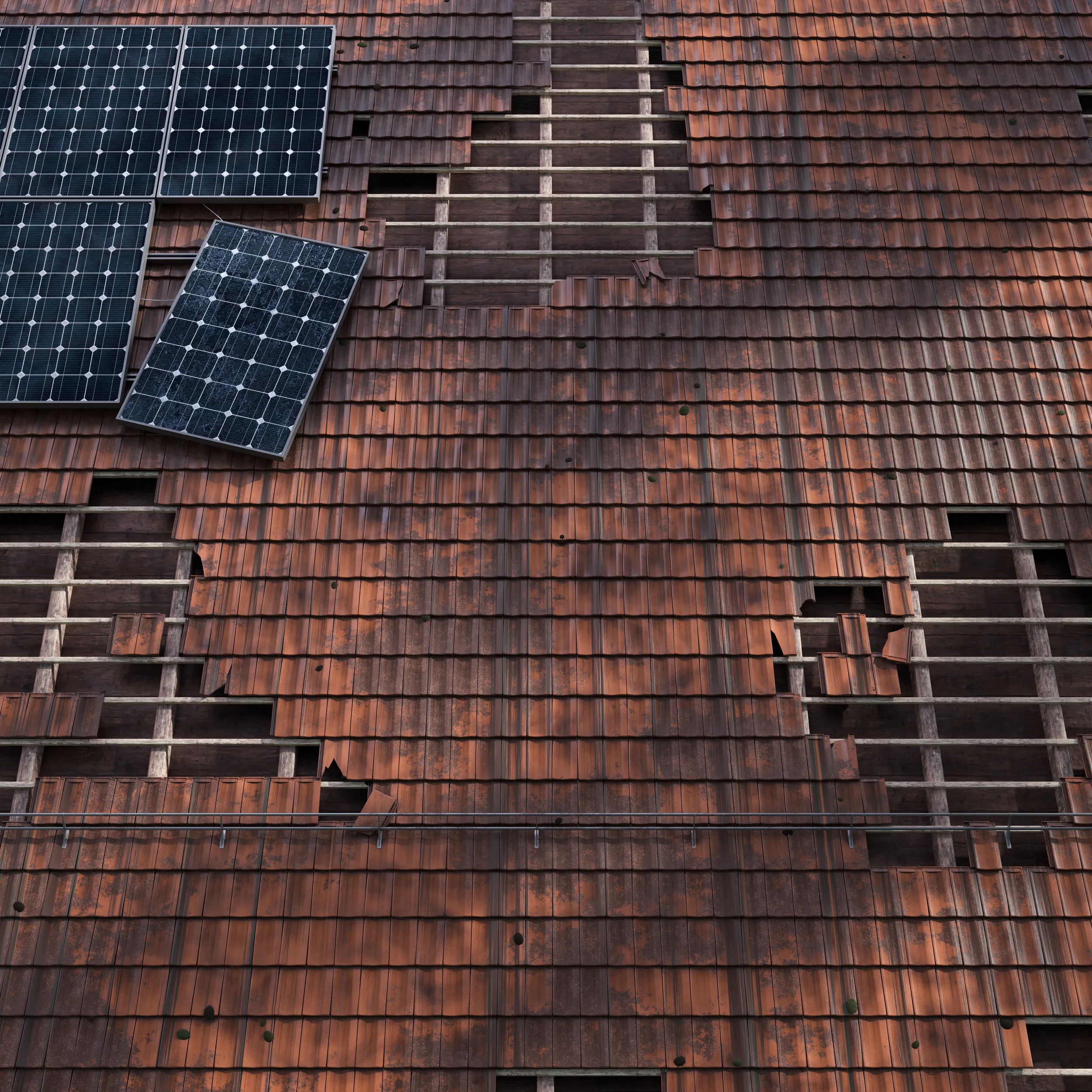 Sturm Sujet 2025 ohne Text