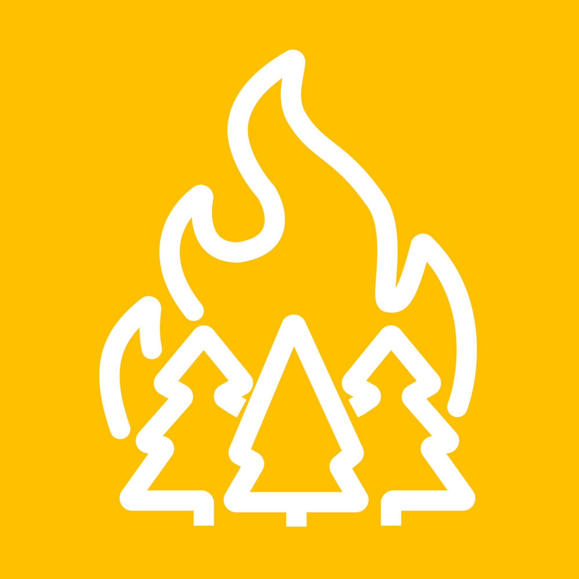 Waldbrand