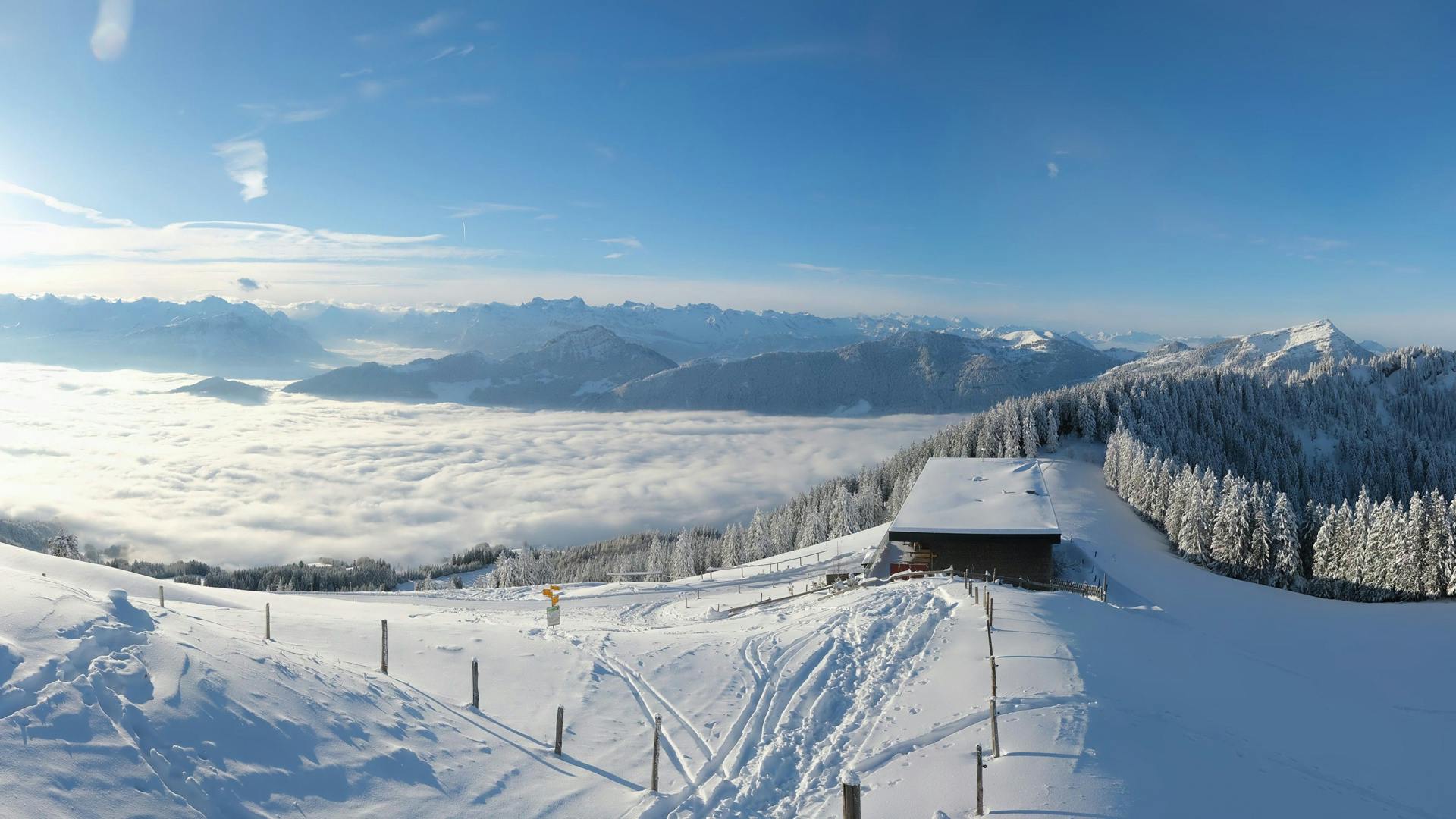 Livecambild Wildspitz