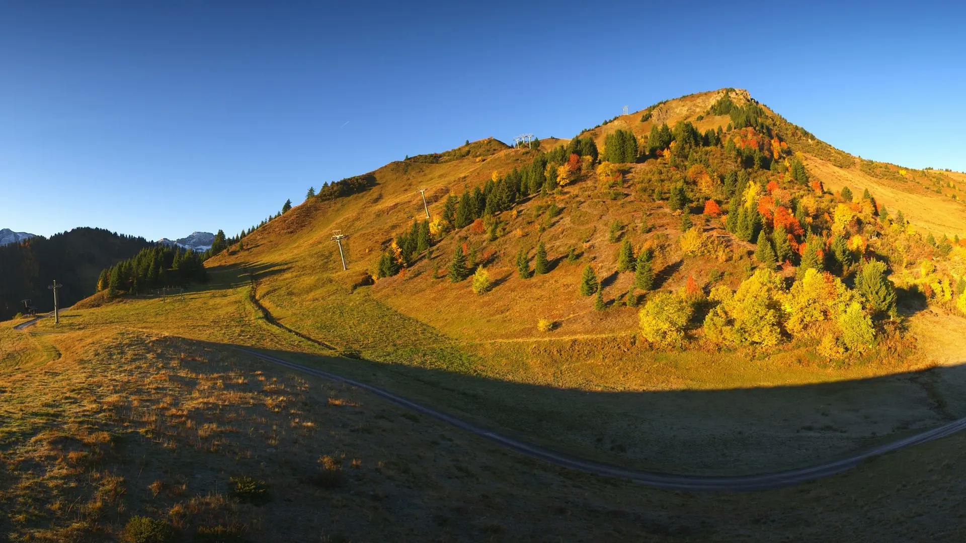 Teaserbild Wetterbericht Herbst