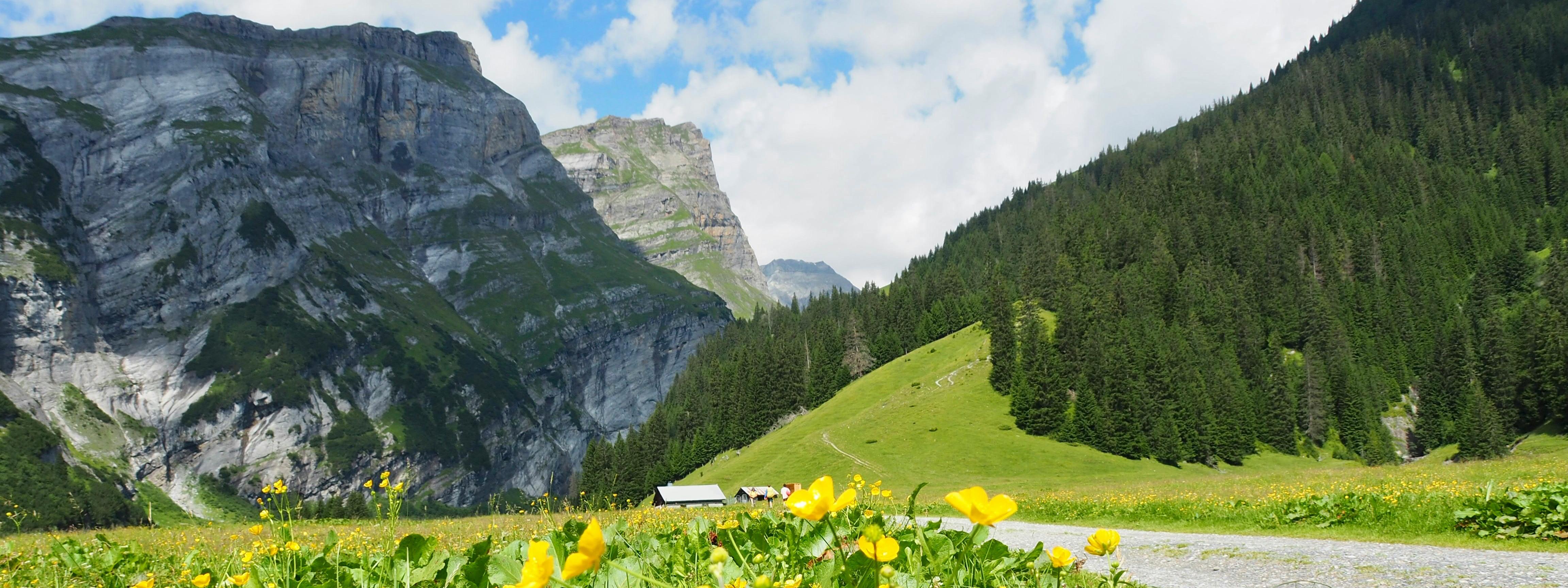Wanderweg in den Schweizer Bergen