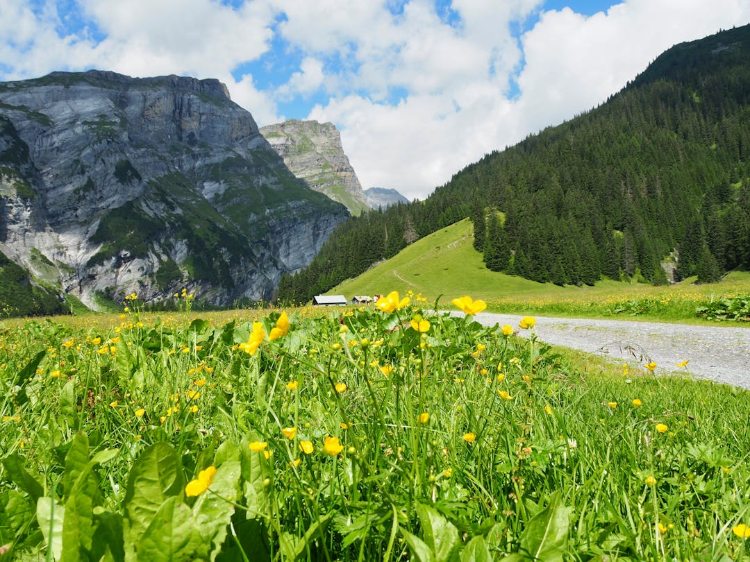 Wetter an Auffahrt in der Schweiz WetterAlarm