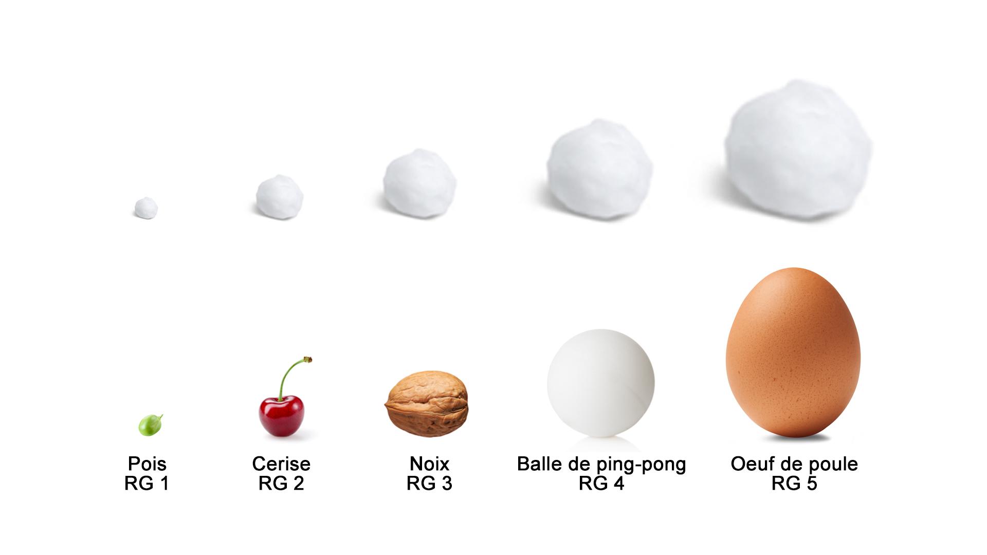 Comparaison de la taille des grêlons avec celle des petits pois, des cerises, des noix, des balles de ping-pong et des œufs de poule.